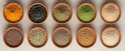 indian herbs and extracts export from india
