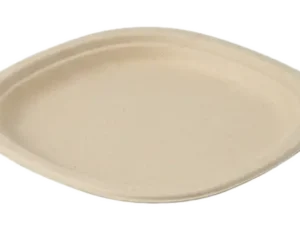 10″ Plate
