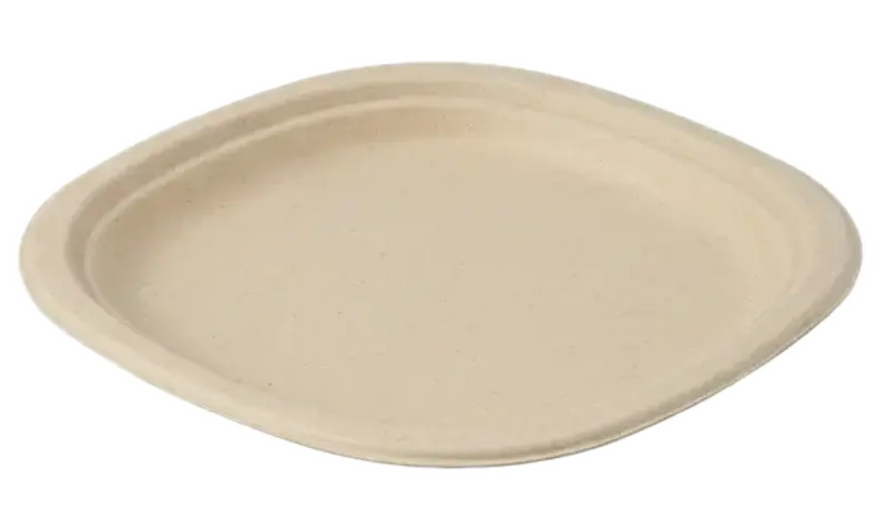 10" Plate