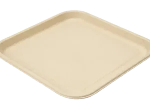 11″ Plate