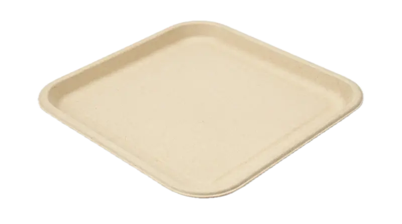 11" Plate