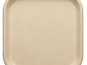 12″ Plate