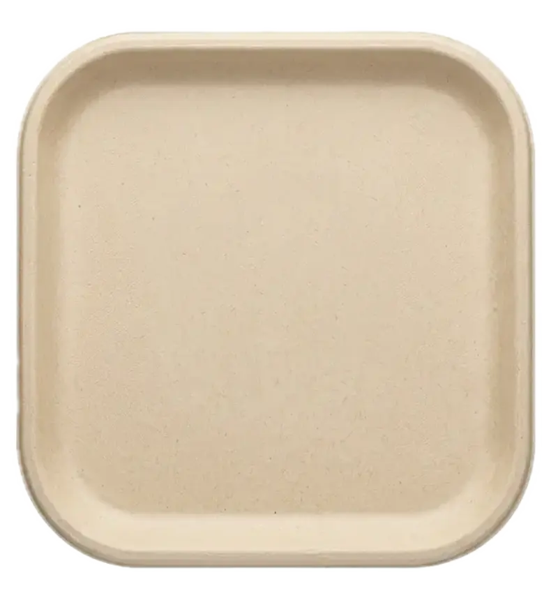 12" Plate