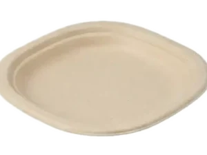 6″ Plate