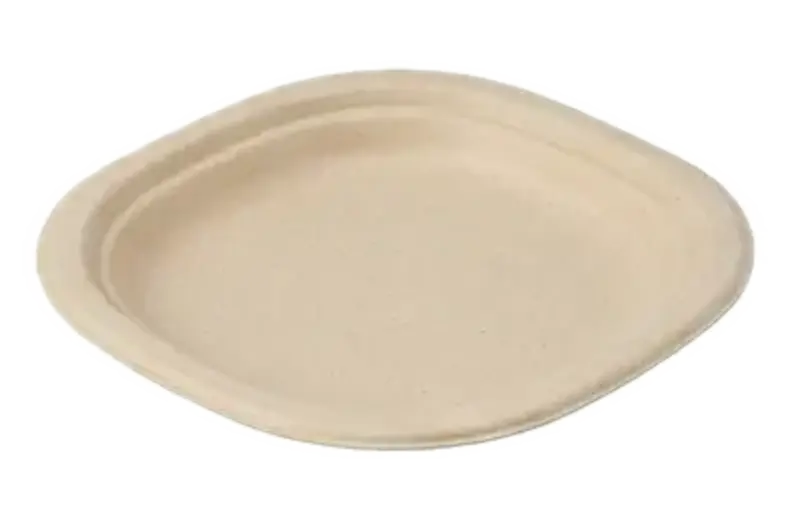 6" Plate