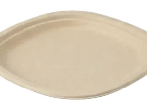 9″ Plate