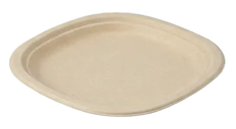 9" Plate