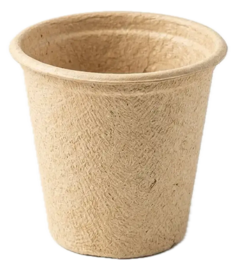 250ml Cup / Glass