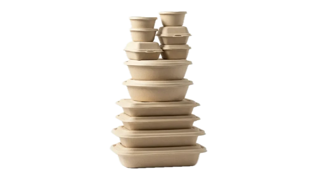 Eco Friendly Bagasse Packaging