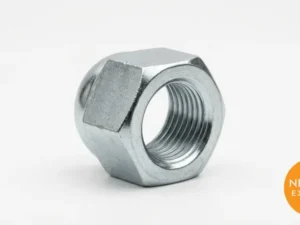 MD Cap Nut