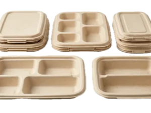 Unbleached Bagasse Tableware