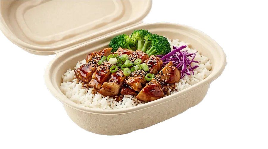Unbleached Bagasse Tableware