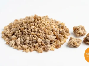 Asafoetida Hing | Buy Premium in Bulk | 25kg to 1000kg
