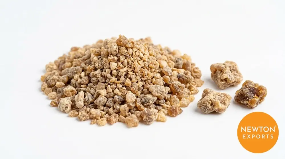 Asafoetida Hing | Buy Premium in Bulk | 25kg to 1000kg