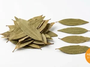 Bay Leaf | Buy Premium in Bulk | 25kg to 1000kg