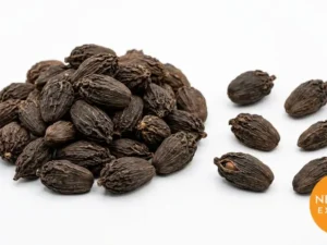 Black Cardamom | Buy Premium in Bulk | 25kg to 1000kg