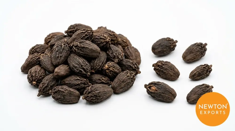 Black Cardamom | Buy Premium in Bulk | 25kg to 1000kg