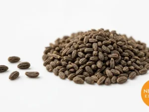 Celery Seeds | Buy Premium in Bulk | 25kg to 1000kg