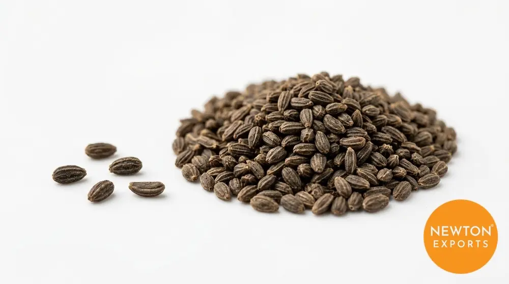 Celery Seeds | Buy Premium in Bulk | 25kg to 1000kg