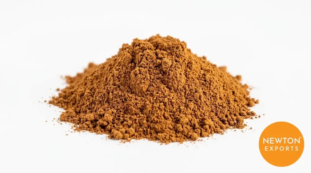 Cinnamon Powder | Buy Premium in Bulk | 25kg to 1000kg