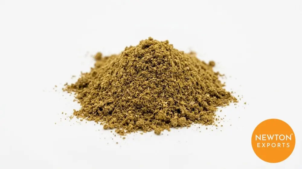 Coriander Powder | Buy Premium in Bulk | 25kg to 1000kg