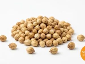 Coriander Seeds | Buy Premium in Bulk | 25kg to 1000kg