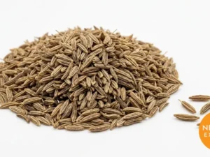 Cumin Seeds | Buy Premium in Bulk | 25kg to 1000kg