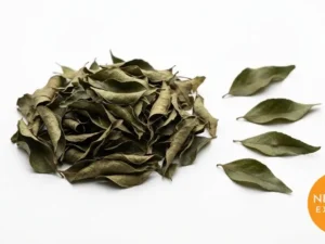 Curry Leaf | Buy Premium in Bulk | 25kg to 1000kg
