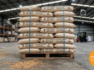 Durum Wheat – Bulk Export from India