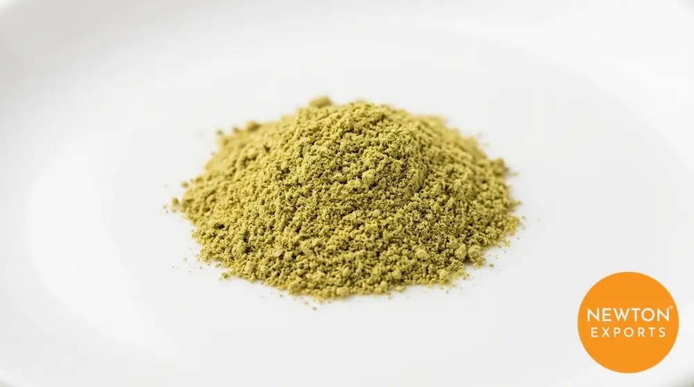 Fennel Powder | Buy Premium in Bulk | 25kg to 1000kg