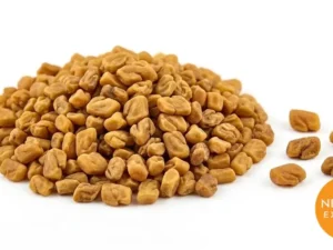 Fenugreek Seeds | Buy Premium in Bulk | 25kg to 1000kg