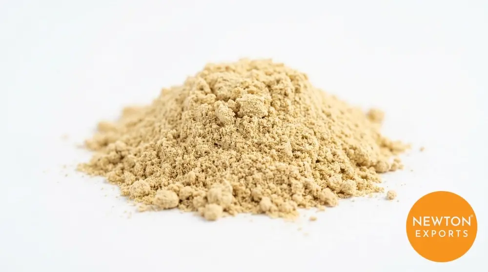 Ginger Powder | Buy Premium in Bulk | 25kg to 1000kg