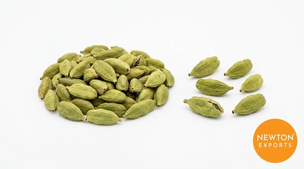 Green Cardamom | Buy Premium in Bulk | 25kg to 1000kg