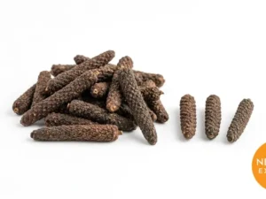 Long Pepper | Buy Premium in Bulk | 25kg to 1000kg
