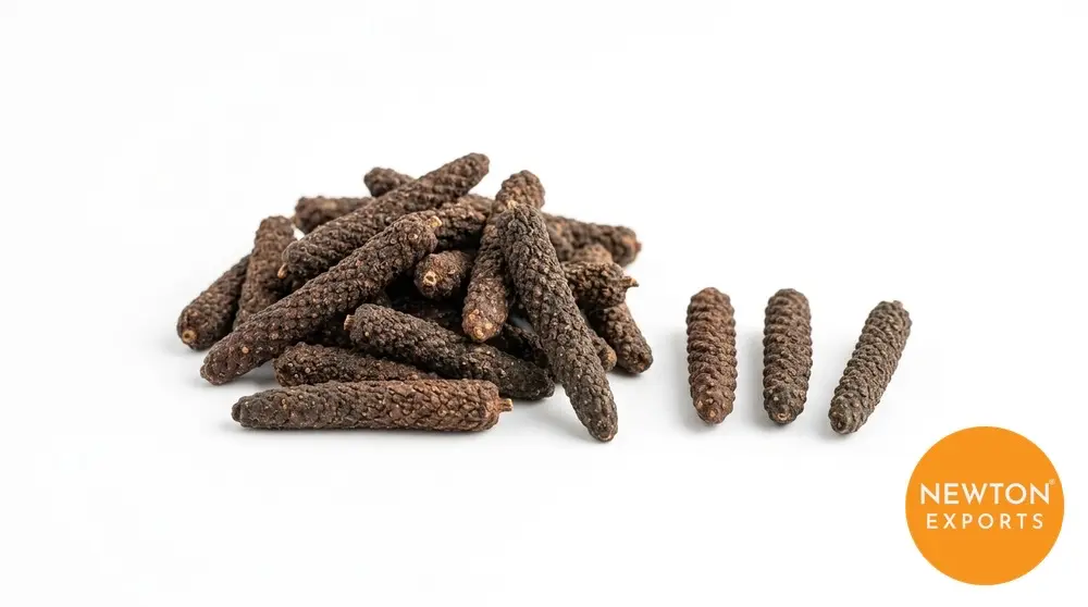 Long Pepper | Buy Premium in Bulk | 25kg to 1000kg
