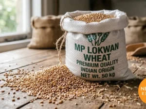 MP Lokwan Wheat – Bulk Export from India