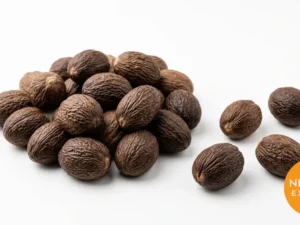 Nutmeg | Buy Premium in Bulk | 25kg to 1000kg