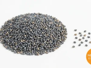 Poppy Seeds | Buy Premium in Bulk | 25kg to 1000kg