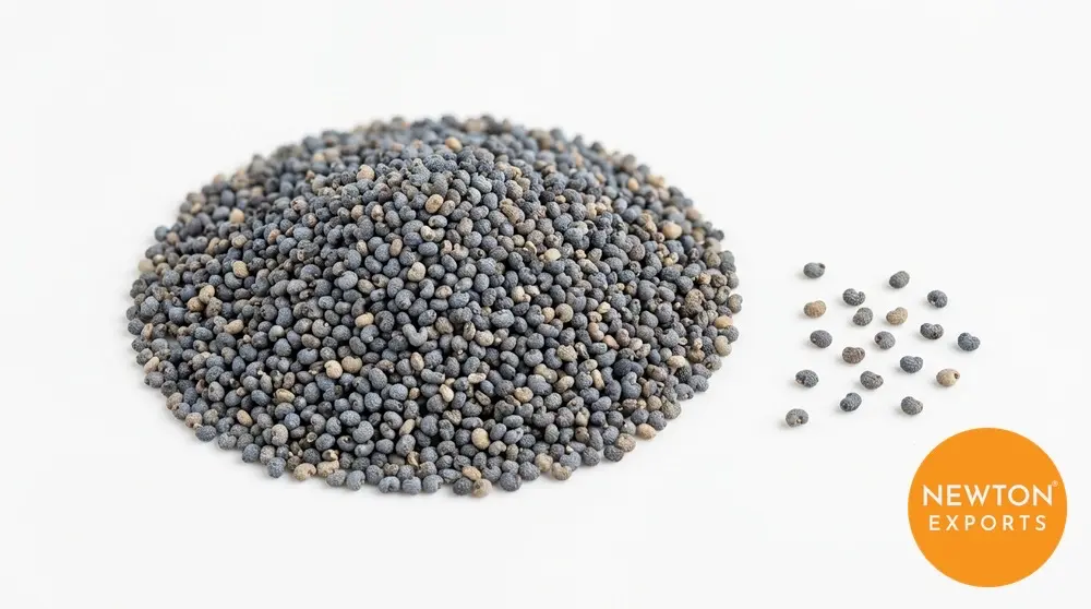 Poppy Seeds | Buy Premium in Bulk | 25kg to 1000kg