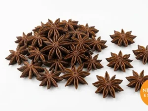 Star Anise | Buy Premium in Bulk | 25kg to 1000kg