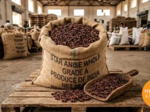 Star Anise | Buy Premium in Bulk | 25kg to 1000kg