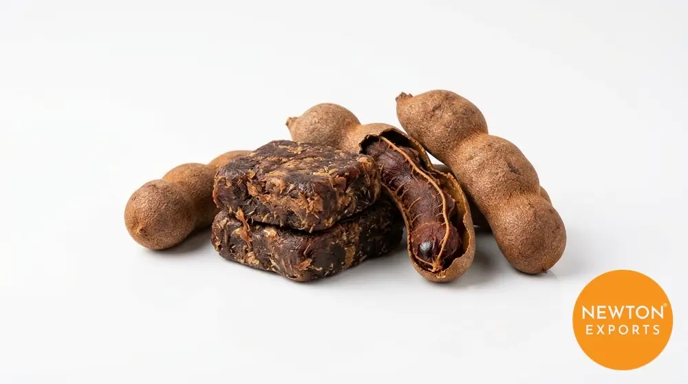Whole Tamarind | Buy Premium in Bulk | 25kg to 1000kg