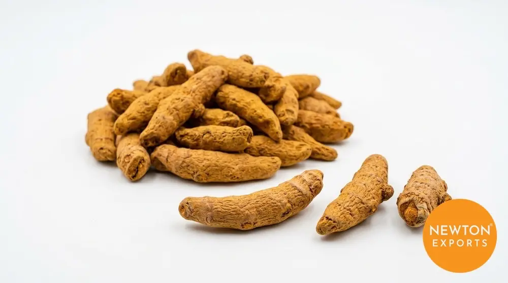 Turmeric Finger | Buy Premium in Bulk | 25kg to 1000kg