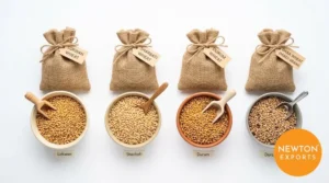 wheat-durum-wheat