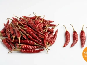 Red Chilli Teja | Buy Premium in Bulk | 25kg to 1000kg