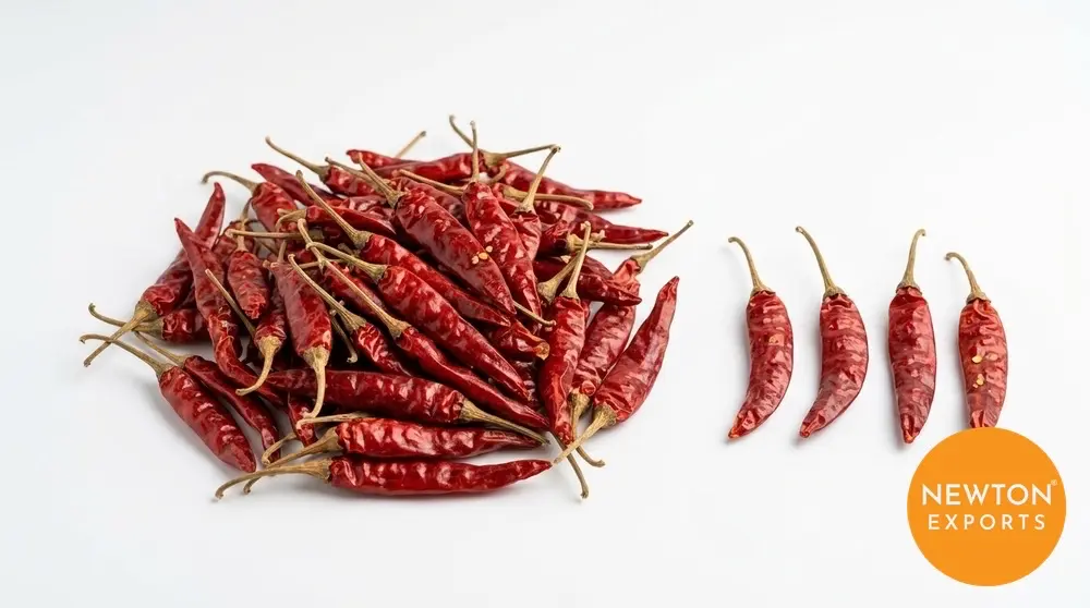 Red Chilli Teja | Buy Premium in Bulk | 25kg to 1000kg