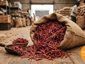 Red Chilli Teja | Buy Premium in Bulk | 25kg to 1000kg