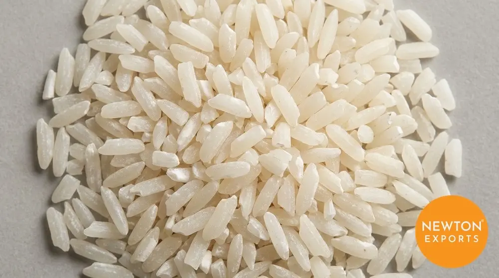 Newton 100 Percent Broken Rice India 2