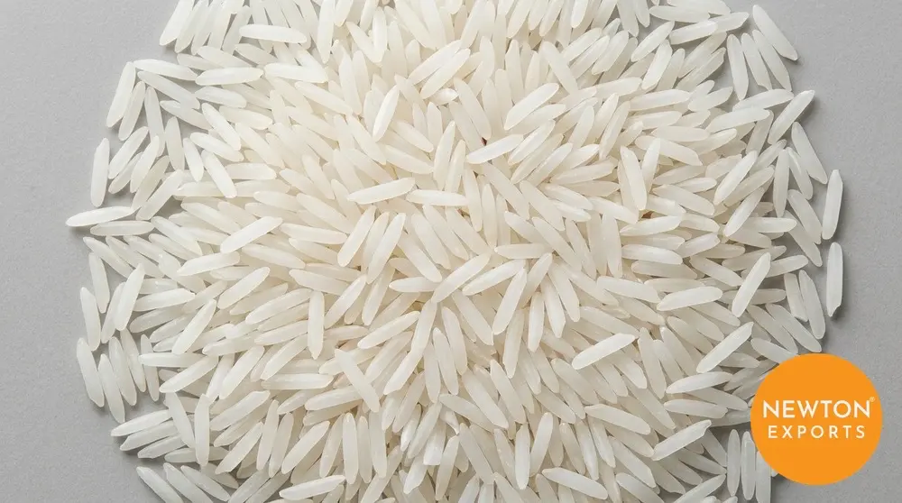 Newton 1509 Basmati Rice India 2