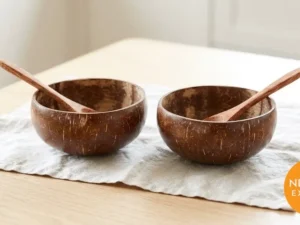 Coconut Shell Bowl
